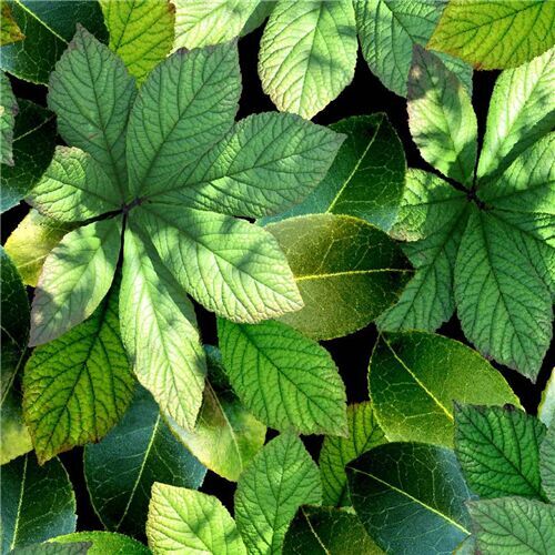 packed green leaf fabric by Michael Miller