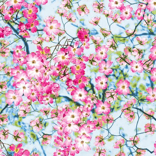 small pink flower fabric by Timeless Treasures