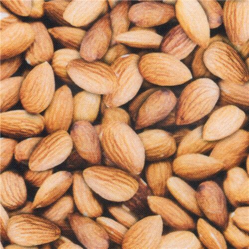 almond nuts fabric by Robert Kaufman