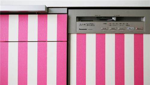 Add some colour to dishwasher or kitchen fronts