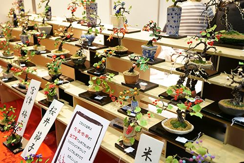 Many people decorate their homes/offices with these beautiful clay plants