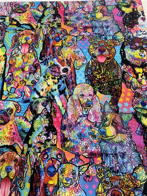 How colorful is this design?