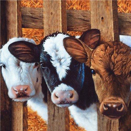 black Robert Kaufman fabric animal cow pig Down on the Farm Digital