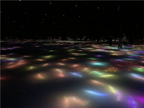 The exhibition was full of color!